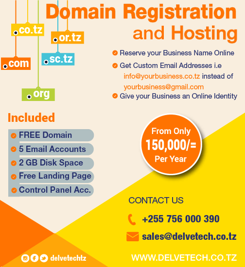 Delve Tech - Domain & Hosting Offer